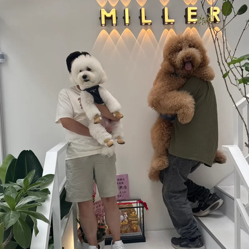 米樂專區照片